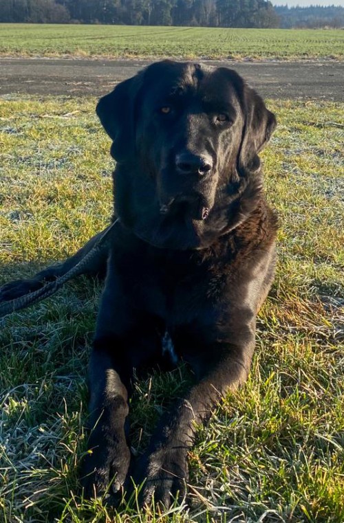 Indira Zefa Cega Ram 