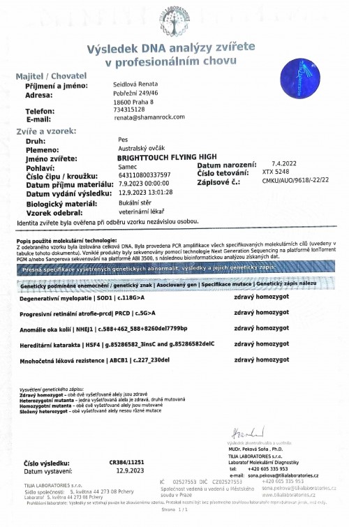 Paddy - genetika DNA