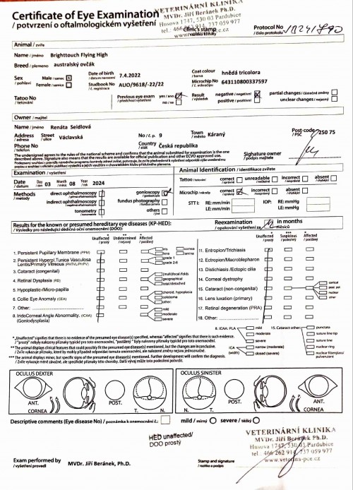 Paddy - dědičné oční vady - negativní 