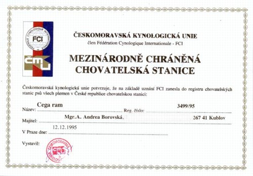 Chovem se zabývám od roku 1995, máme vždy jen jednu chovnou fenu. 